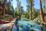 Piscine sequoia lodge